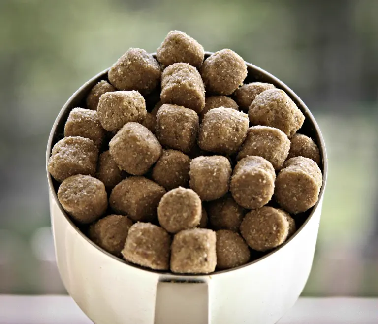 Un bol de croquettes pour chien